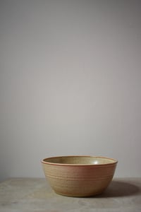 Image 1 of Dinner Bowl - Shino