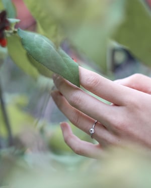 Image of Platinum, 4.2mm white Rose-cut diamond faceted ring (LON228)