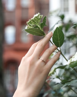 Image of 18ct Rose gold, Champagne colour Rose-cut diamond ring (LON213)