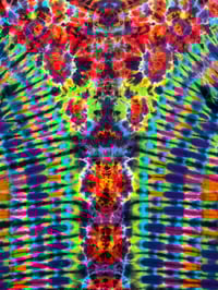 Image 3 of Large pleat n kenney