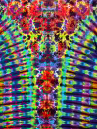 Image 4 of Large pleat n kenney