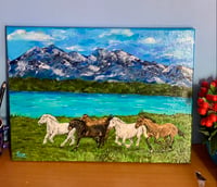 Horses galop