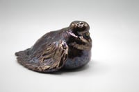 Image 3 of doomer pigeon with a cig sculpture 