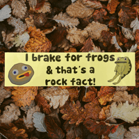 Image 1 of Rock Fact bumper sticker