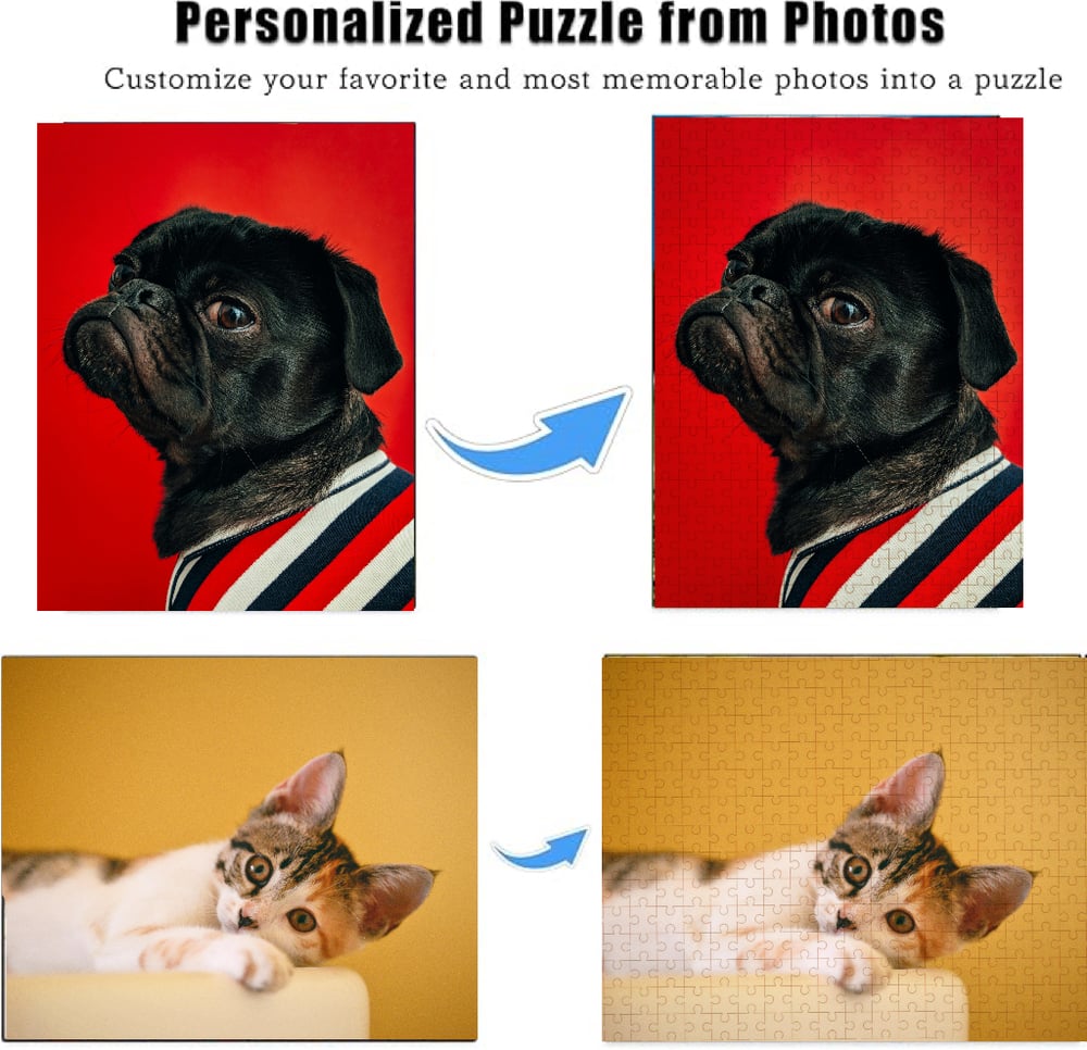 Image of Puzzle from Dog’s Pics