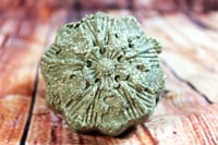 Image 1 of Shampoo Solid Bar with Green Clay for Normal & Oily Hair, 110 g