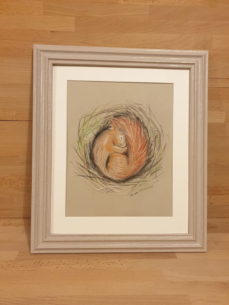 Image of Cooried In original framed sketch