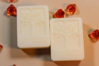 Image 1 of Solid Conditioner Bar for Hair Growth with Pear Vinegar, 110 g
