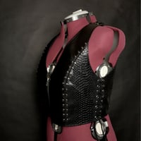 Image 4 of Cobra Vest