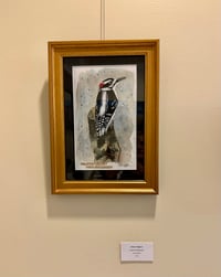 Image 2 of Downy Woodpecker Print
