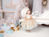 Image 6 of Christmas at Tiffany's  - Couture and Family Session