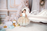 Image 12 of Christmas at Tiffany's  - Couture and Family Session