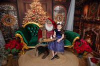 Image 11 of Kringle Story Tree & Hearth - Santa