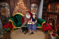 Image 13 of Kringle Story Tree & Hearth - Santa