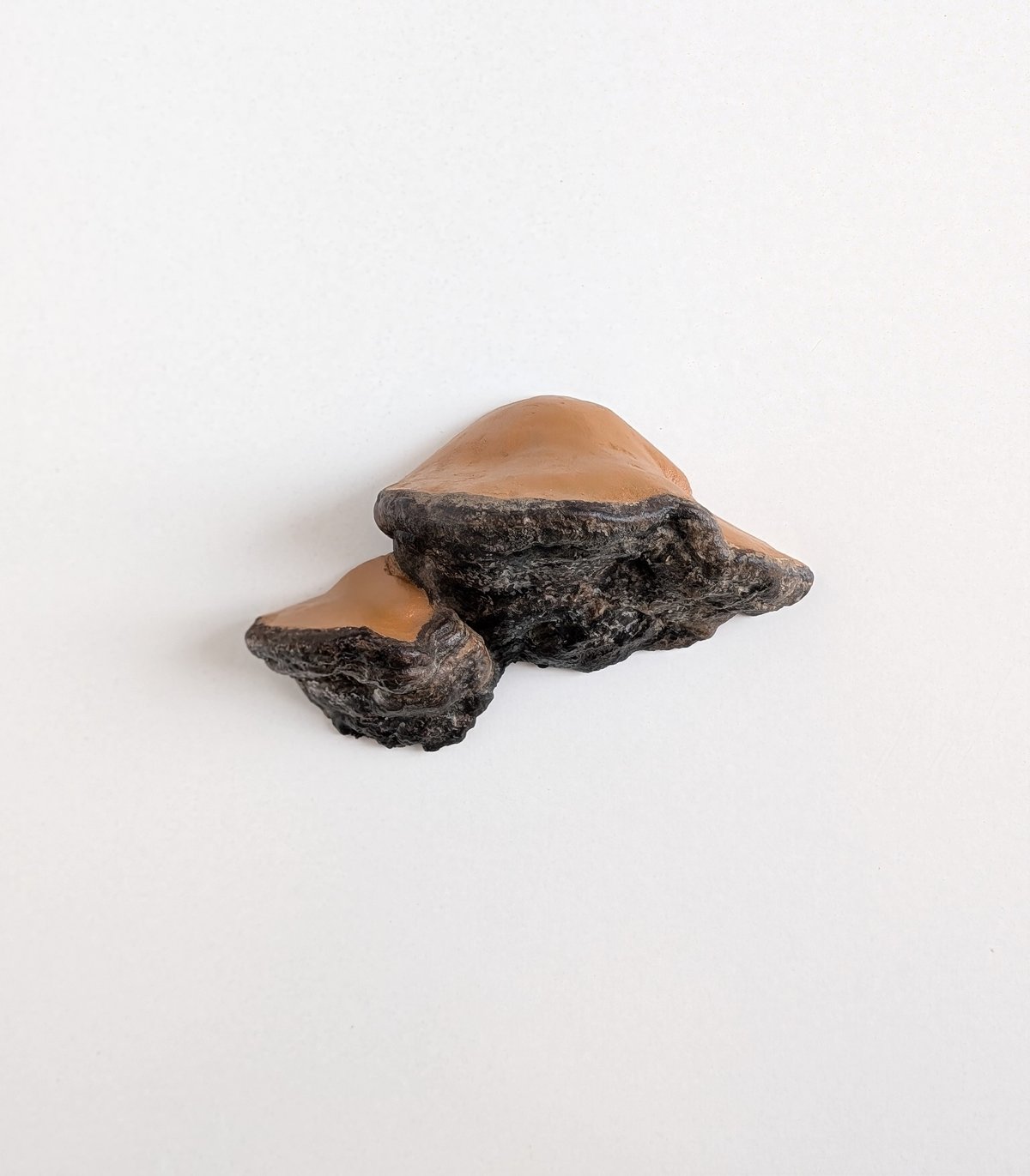 Image of Mushroom Shelf (2-Tier)