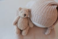 Image 5 of Hazelnut Bear Set 