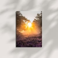 Image 1 of Karte "Sonnenaufgang in der Heide"