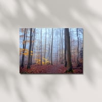 Image 1 of Karte "Nebliger Herbstwald"