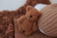 Image 3 of Rust Bear Set 