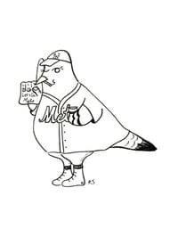 Mets Pigeon