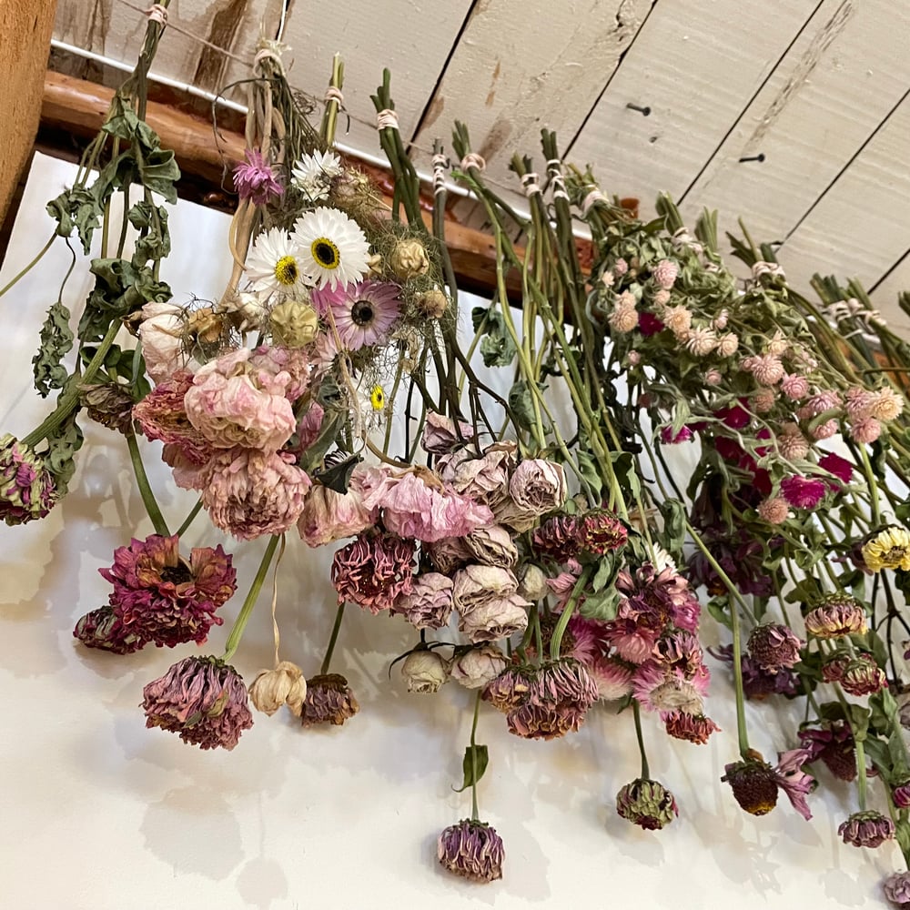 Image of Dried Flower Bouquet