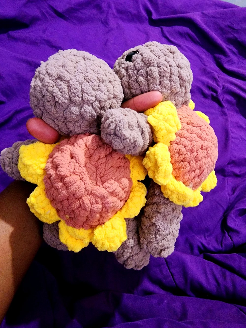 Image of Turtles 