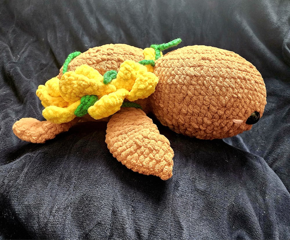 Image of Turtles 