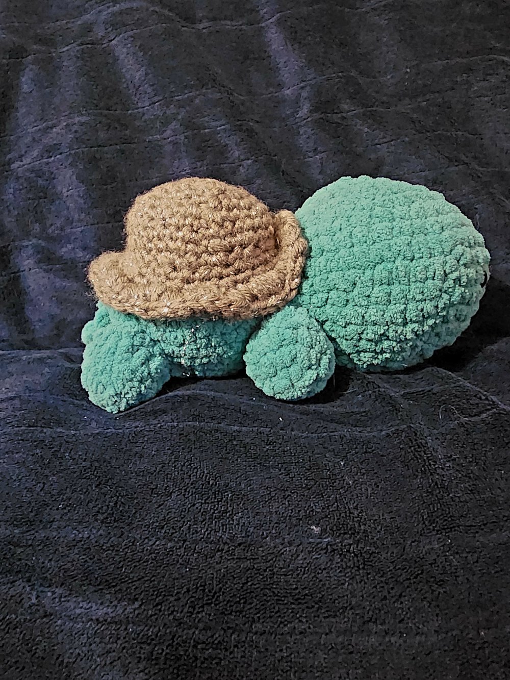 Image of Turtles 