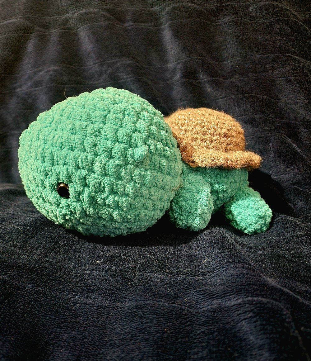Image of Turtles 