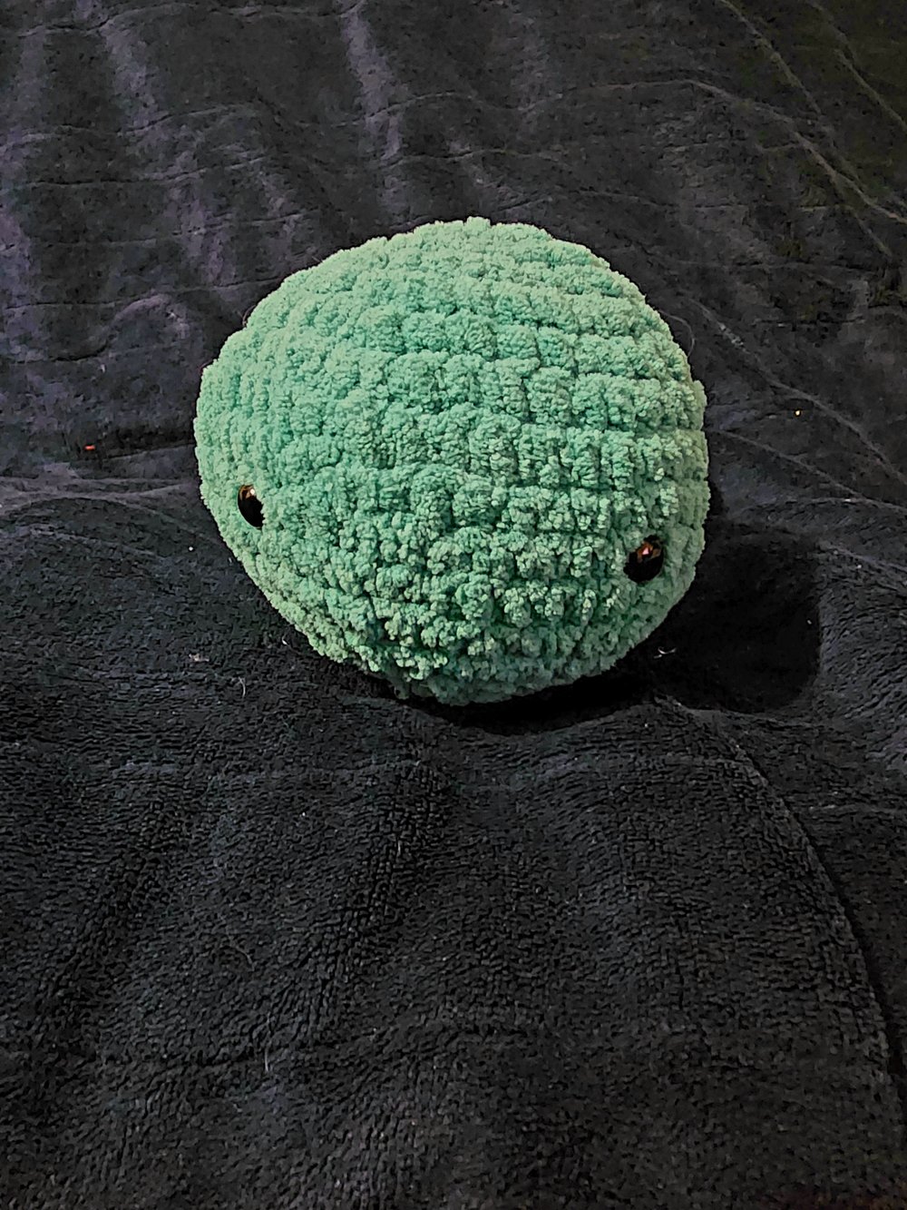 Image of Turtles 