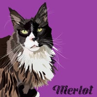Image 14 of Digital pet portraits (full body)