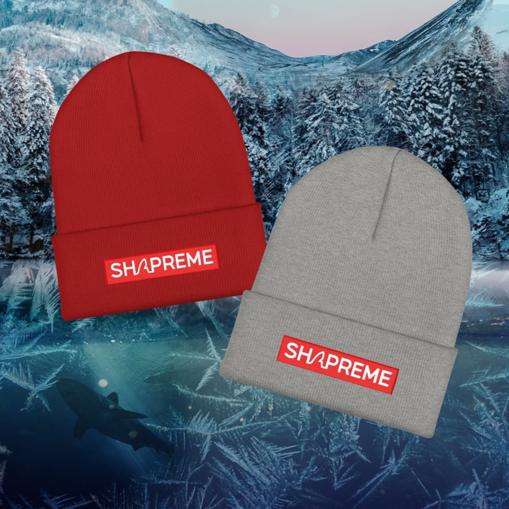 Image of SHAPREME cuffed beanie