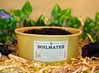 Image 1 of Soilmates - 50oz. Soil Starter
