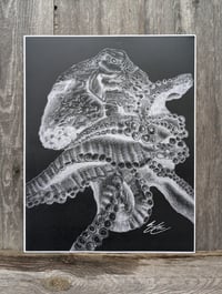 Octo Study: ll Print