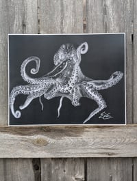 Octo Study: lll Print