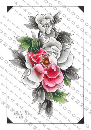 Peony Color Stripe