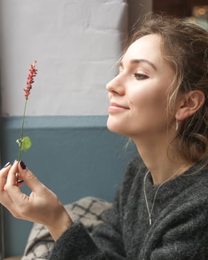 Image of Silver Fern Leaf hook earrings