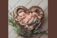 Image 1 of Heart nest