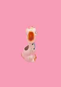 Image 4 of Oscar 