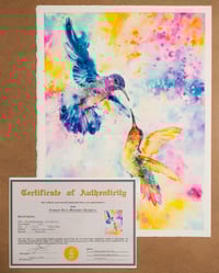 Image 1 of THE HUMMINGBIRDS - LIFE AND LOVE