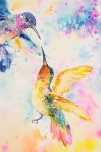 Image 4 of THE HUMMINGBIRDS - LIFE AND LOVE