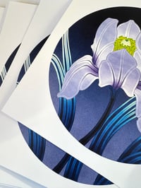 Image 2 of Lily Print