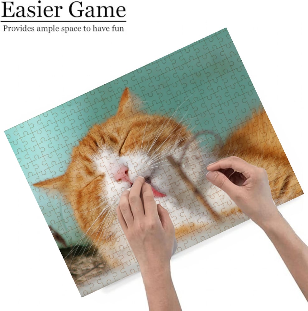 Image of Puzzle from Cat’s Pics
