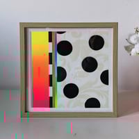 TECHNICOLOUR DOTS (Black) 1224