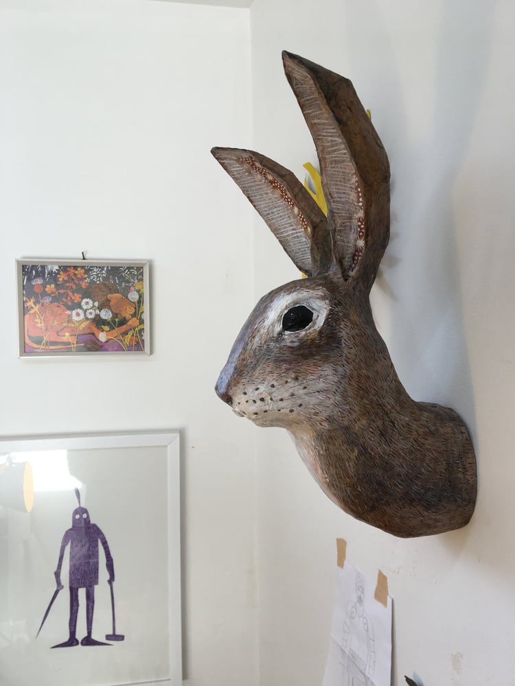 Image of Large Hare