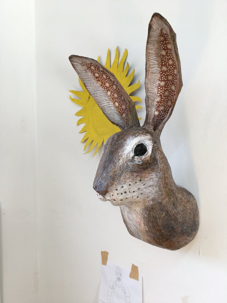 Image of Large Hare