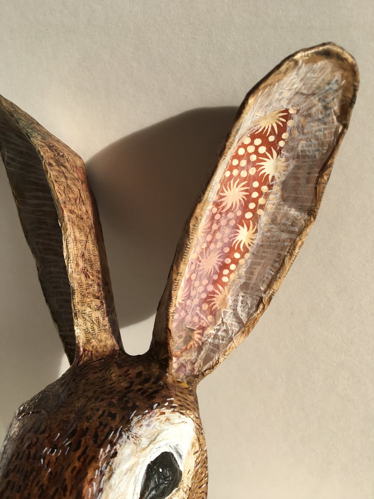 Image of Wall Mounted Hare Head