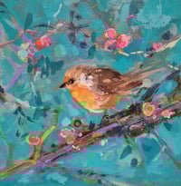 Little Robin