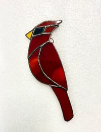 Image 1 of Cardinal- smaller version