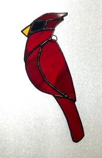 Image 2 of Cardinal- smaller version